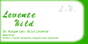 levente wild business card